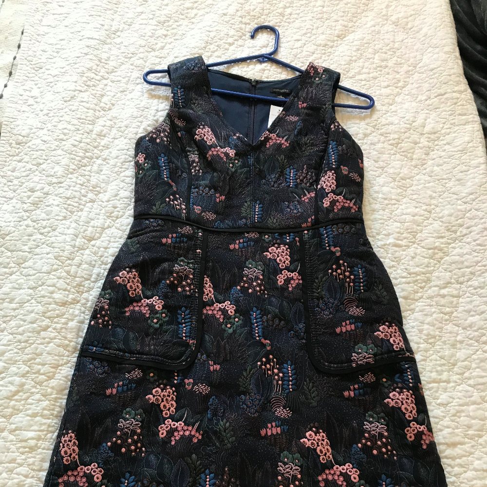 Ann Taylor Night Garden Pocket Dress NWT Size 2